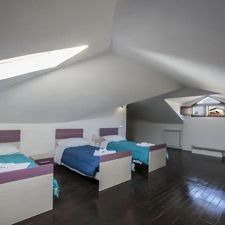 Maine コルトーナ