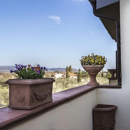 Maine * コルトーナ