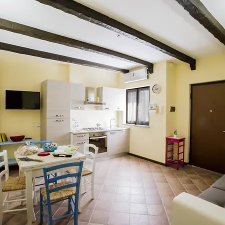 Maine コルトーナ